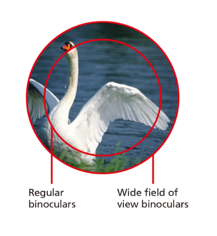 info-427-464 info-427-464